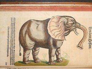 GESNER,THIERBUCH,SÄUGETIERE,VÖGEL,FISCHE,3 WERKE,KOLORIERTE AUSGABE,1563-81,RAR